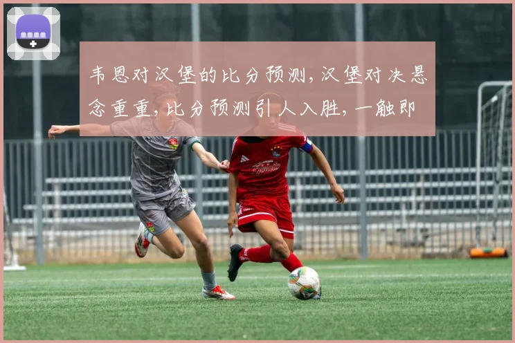 韦恩对汉堡的比分预测,汉堡对决悬念重重,比分预测引人入胜,一触即发