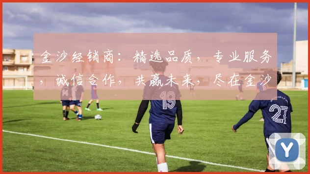 金沙经销商：精选品质，专业服务，诚信合作，共赢未来，尽在金沙