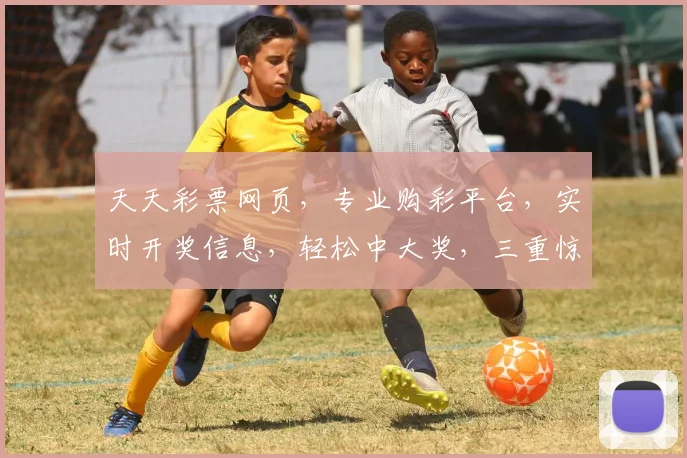 天天彩票网页，专业购彩平台，实时开奖信息，轻松中大奖，三重惊喜等你来